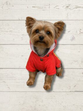 LoveLongLong Construction Worker Dog Raincoat – XS